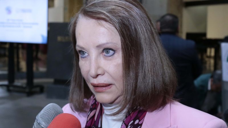 Laura Itzel Castillo Juárez