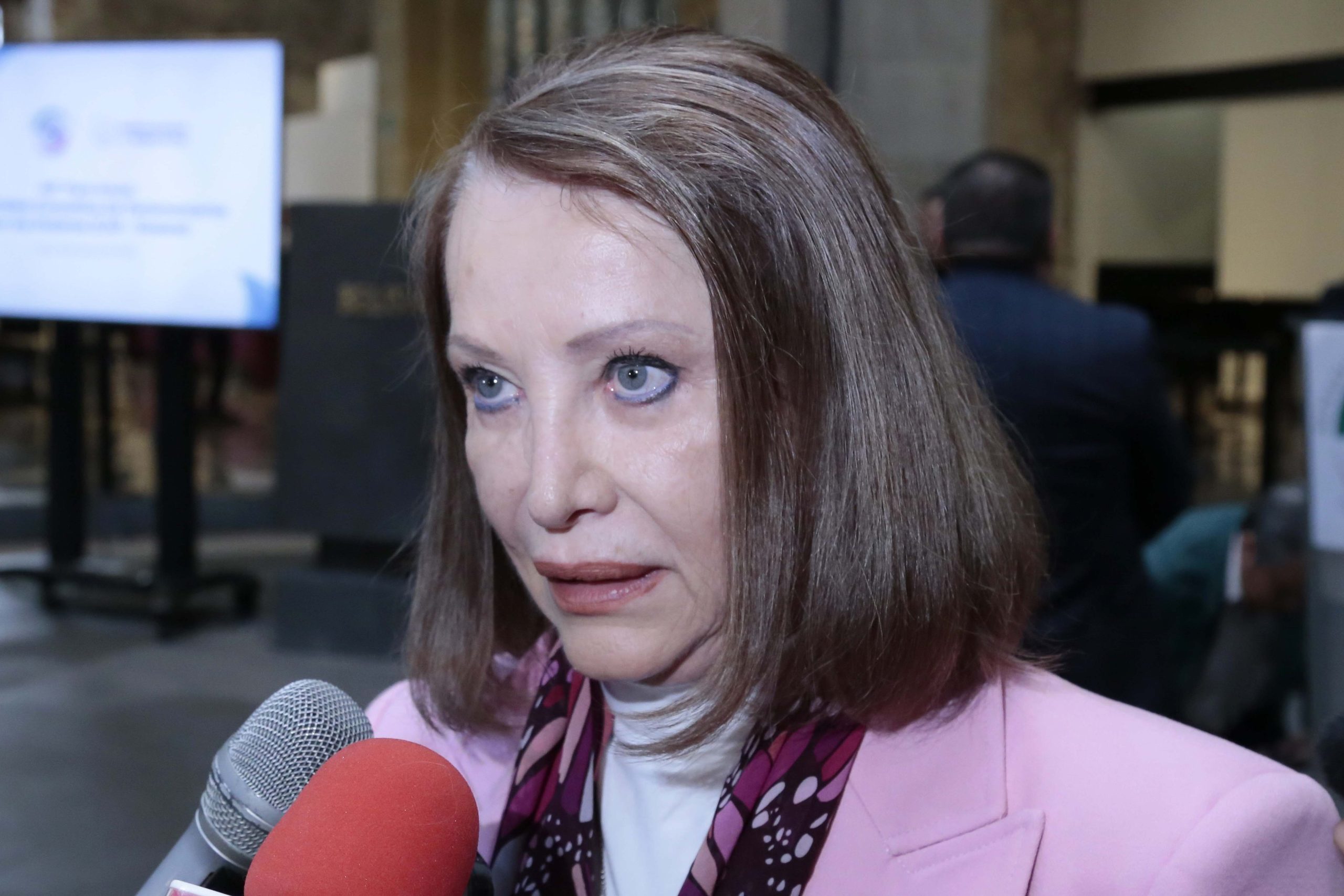 El “Plan B” tiene el objetivo de reducir los gastos excesivos en materia electoral: Castillo Juárez