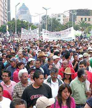 SME y CNTE ‘sitian’ el Senado