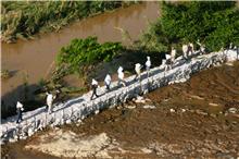 Lluvias causan severos daños