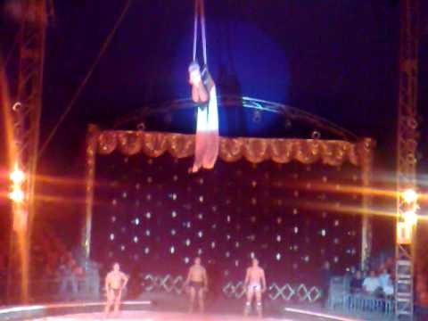 Se verifican todos los circos en país: PROFEPA