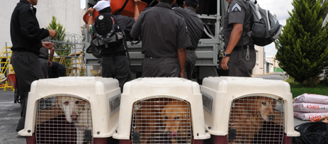 El Ejército reitera localización de las primeras víctimas en Tlahuitoltepec