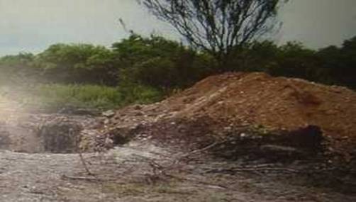 Los cuerpos fueron encontrados maniatados y con huellas de tortura.