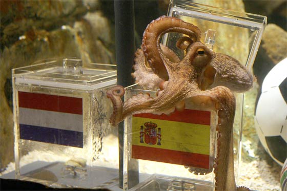 No se equivocó en sus pronósticos.