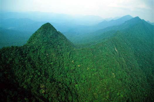 Urge apoyo para preservar recursos naturales de Los Chimalapas