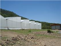 Primeras heladas de la temporada afectan el campo Mixteco