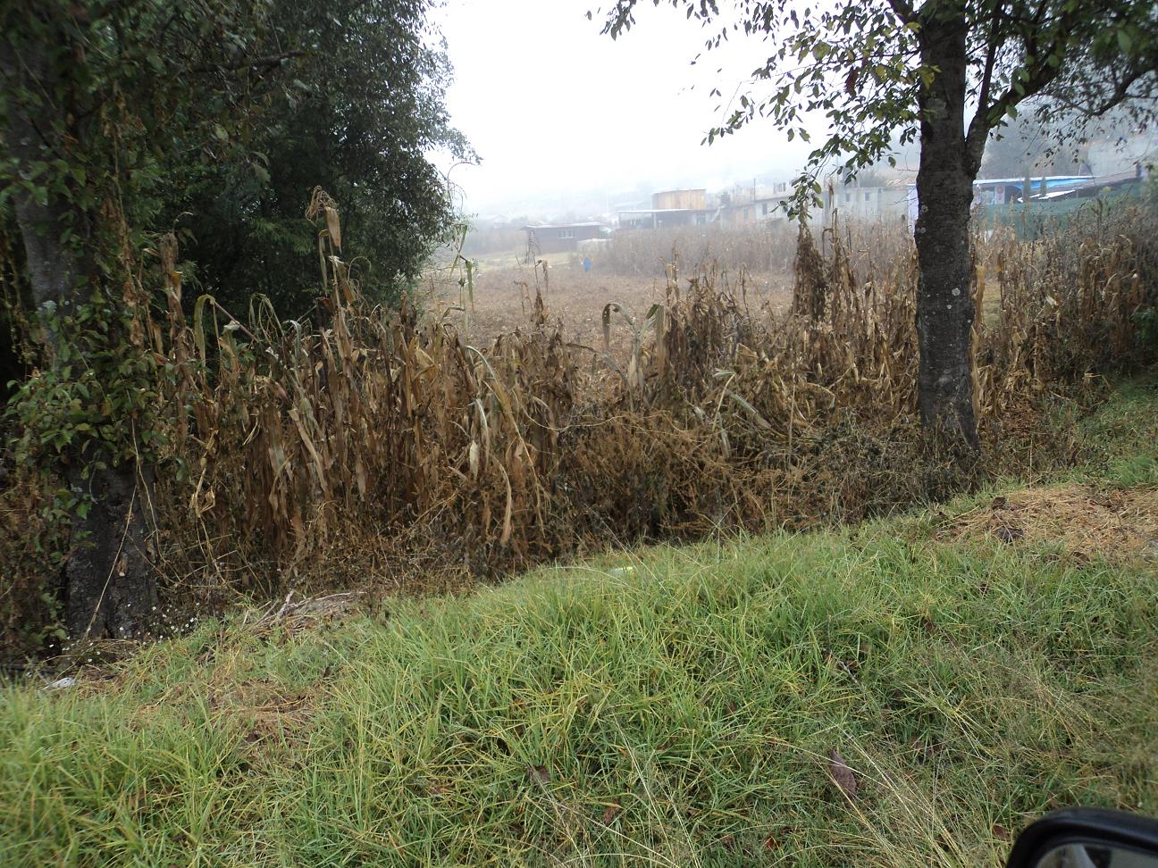 En el olvido 80 por ciento de poblaciones en la Mixteca