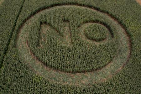 EUA y España presionan por transgénicos