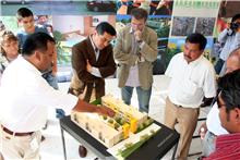 Desarrollos de vivienda, motor económico para el gobierno de Gabino Cué