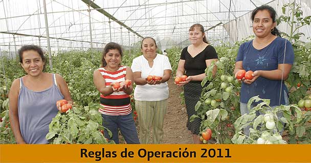 Mil 935 mp invertirá la SRA en apoyo al campo en 2011