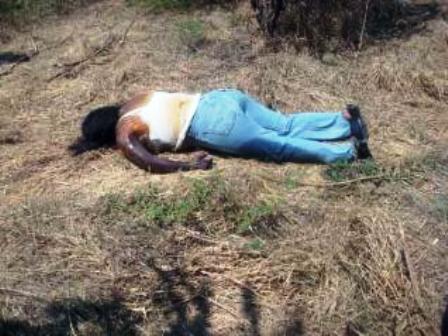 Encuentran mujer asesinada en Cinco Señores