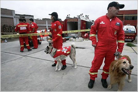 México envió brigada de ayuda humanitaria a Japón