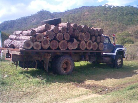 Defenderán su territorio con sus vidas advierten los “chimas”; ineficiencia del gobierno