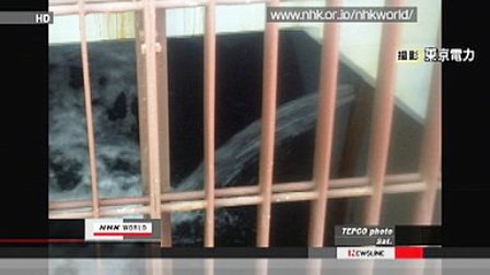 Instituto Francés Nuclear advierte que radioactividad puede dañar recursos marinos