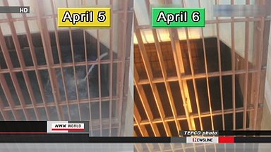 Evalúa TEPCO impacto de agua radiactiva vertida al mar