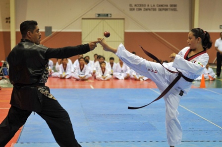 Exhibición de Tae Kwon Do