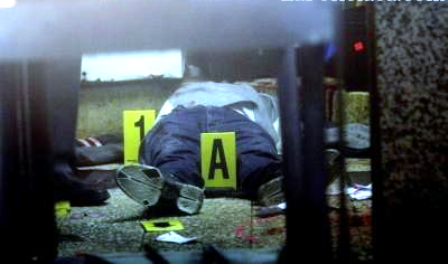 Pájaros alambreados / Para los jóvenes México ya valió madres