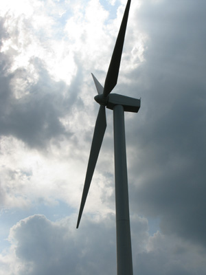 Indígenas del Istmo denuncian a la empresa española DEMEX, por despojo de su territorio