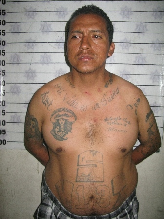 Detenidas siete personas por diversos delitos en las últimas 24 horas