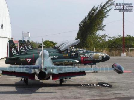 Egresan 170 oficiales de la Fuerza Aérea, siete son mujeres