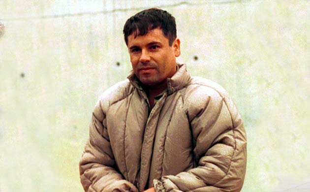 De “El Chapo” Guzmán, el mayor plantío de marihuana localizado en Baja California