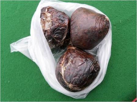 Asegura Ejército Mexicano cristal, cocaína y goma de opio en Hermosillo, Sonora