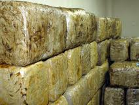 Cuatro detenidos y más de siete toneladas de mariguana decomisadas en Baja California