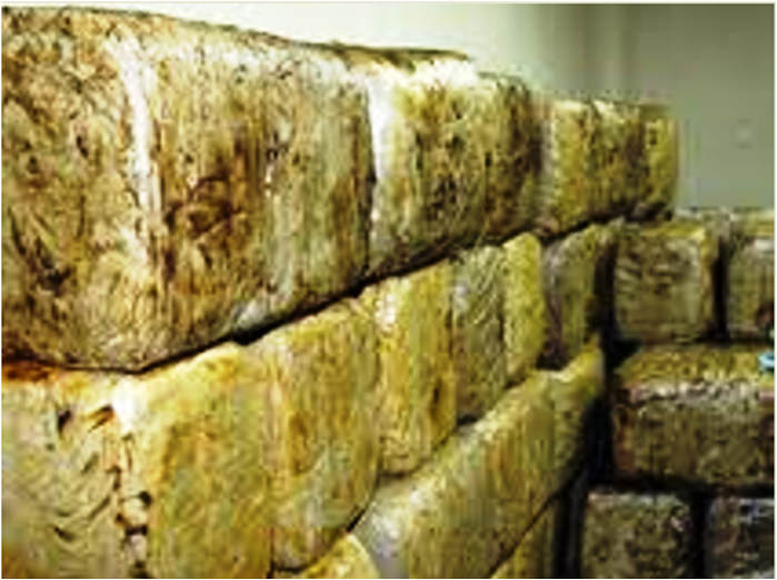 Asegura personal militar casi dos toneladas de mariguana en Camargo, Tamaulipas