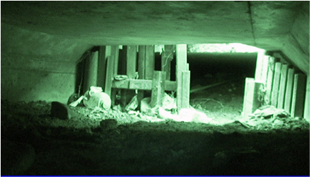 Localiza túnel que conectaba a México con Estados Unidos: PF