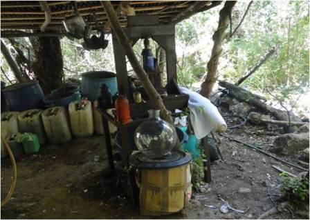 Oculto entre la maleza