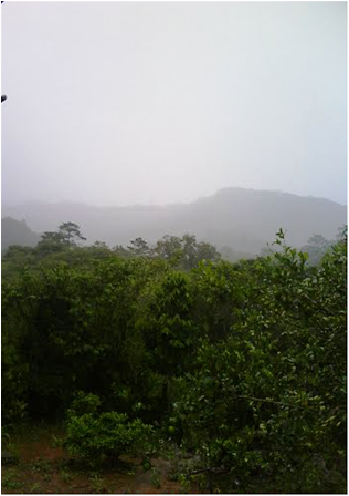 La situación en Chimalapas sigue crítica