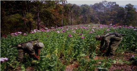 Detiene personal militar a 153 presuntos delincuentes durante octubre en cinco estados