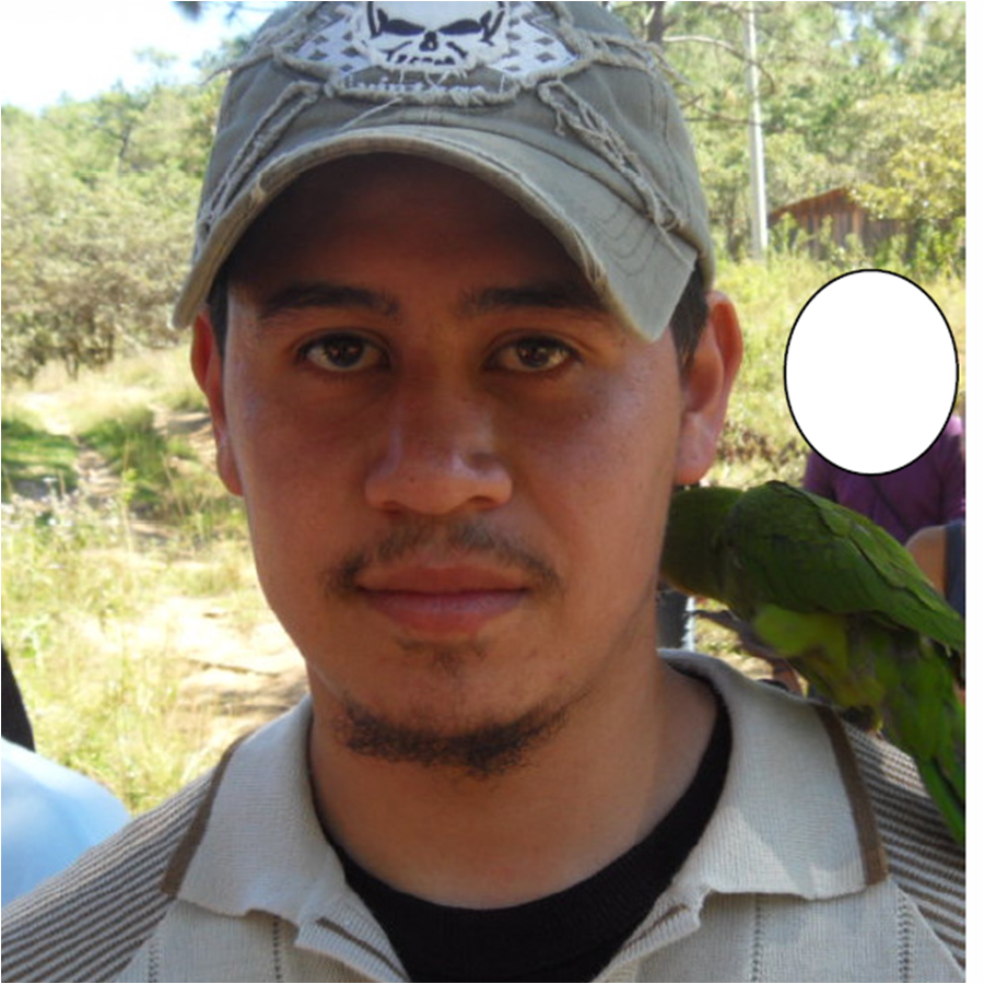 Detectan infiltrado en la Misión Civil de Observación a “Los Chimalapas”