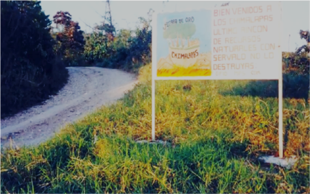 Selva de Chimalapas, el regulador hidrológico más importante de México