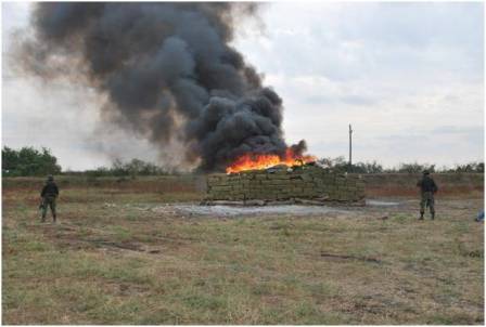 Destruye Ejército Mexicano más de diez toneladas de enervantes en El Sauz, Sinaloa