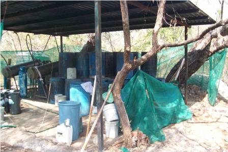 Aseguran militares dos laboratorios donde se elaboraba droga sintética en el estado de Jalisco