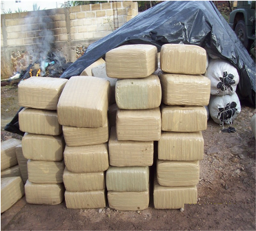 Asegura personal militar casi cinco toneladas de marihuana en municipios del estado de Tamaulipas