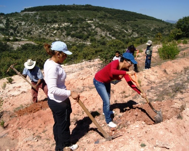 Ejemplar reforestación de Nuxaño y Tlatayapam, recibe respaldo ciudadano