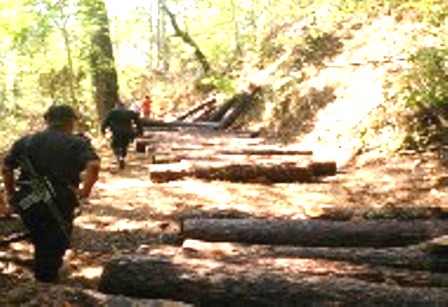 México Selva de los Chimalapas en alerta: la Madre Tierra no está en venta