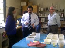 Acciones por la ecología