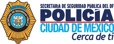 Fin de semana seguro: SSPDF