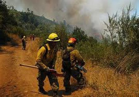 Incendios forestales