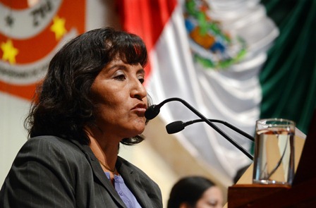 Pide diputada informe al Gobernador sobre caída de Velaría del Fortín