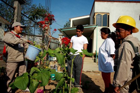 Piden tomar medidas preventivas