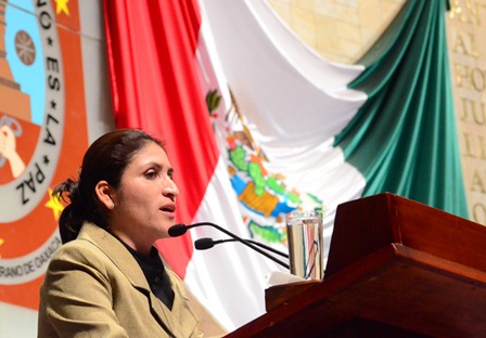 Diputada Gallegos: Armonizar leyes para erradicar la violencia de género