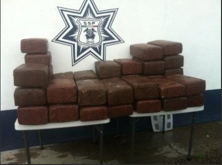 Asegura la Policía Federal más de 270 kilos de marihuana en Sonora