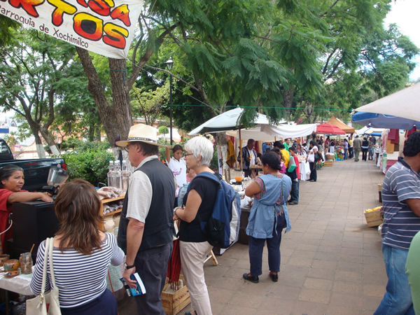 Abre sus puertas al público el mercado orgánico “El Pochote”, en Oaxaca