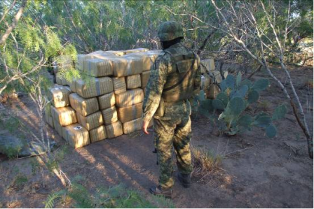 Personal militar aseguró más de una tonelada de mariguana en el municipio de Ciudad Miguel Alemán, Tamps.