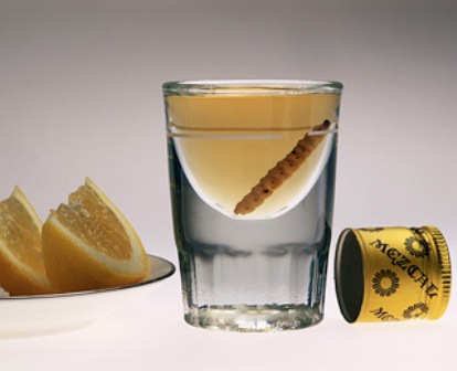 XV Feria del Mezcal en el Llano