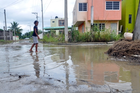 Tipificar como delito la construcción de viviendas en zonas de riesgo, pide la Sedesol